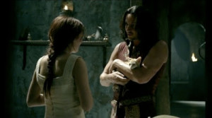 Villains vs Antagonists: A field guide - http://vlnresearch.com/villains-vs-antagonists - Darken Rahl Kitten Legend of the Seeker image